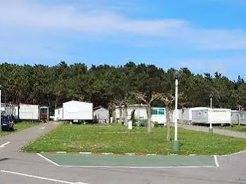 Campsite Camping Derby